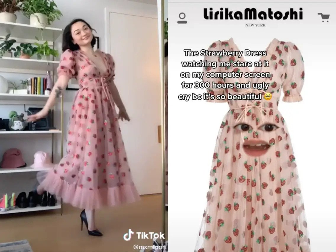 TikTok Social Commerce_Viral Strawberry Dress_517255.jpg